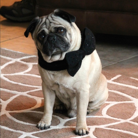 Meet your Posher, Cheryl - Picture 1 of 1