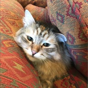 Meet your Posher, Kris