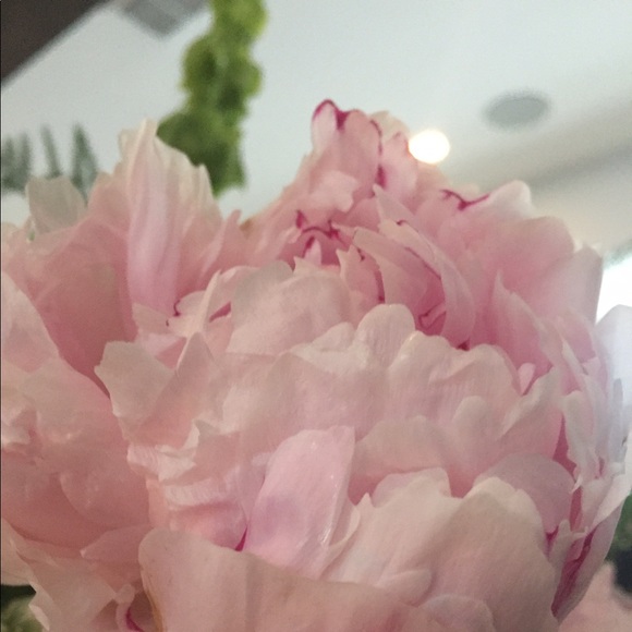 Meet your Posher, B - Picture 1 of 1