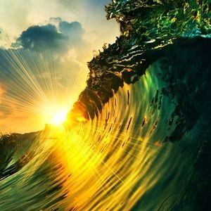 Meet your Posher, Jose