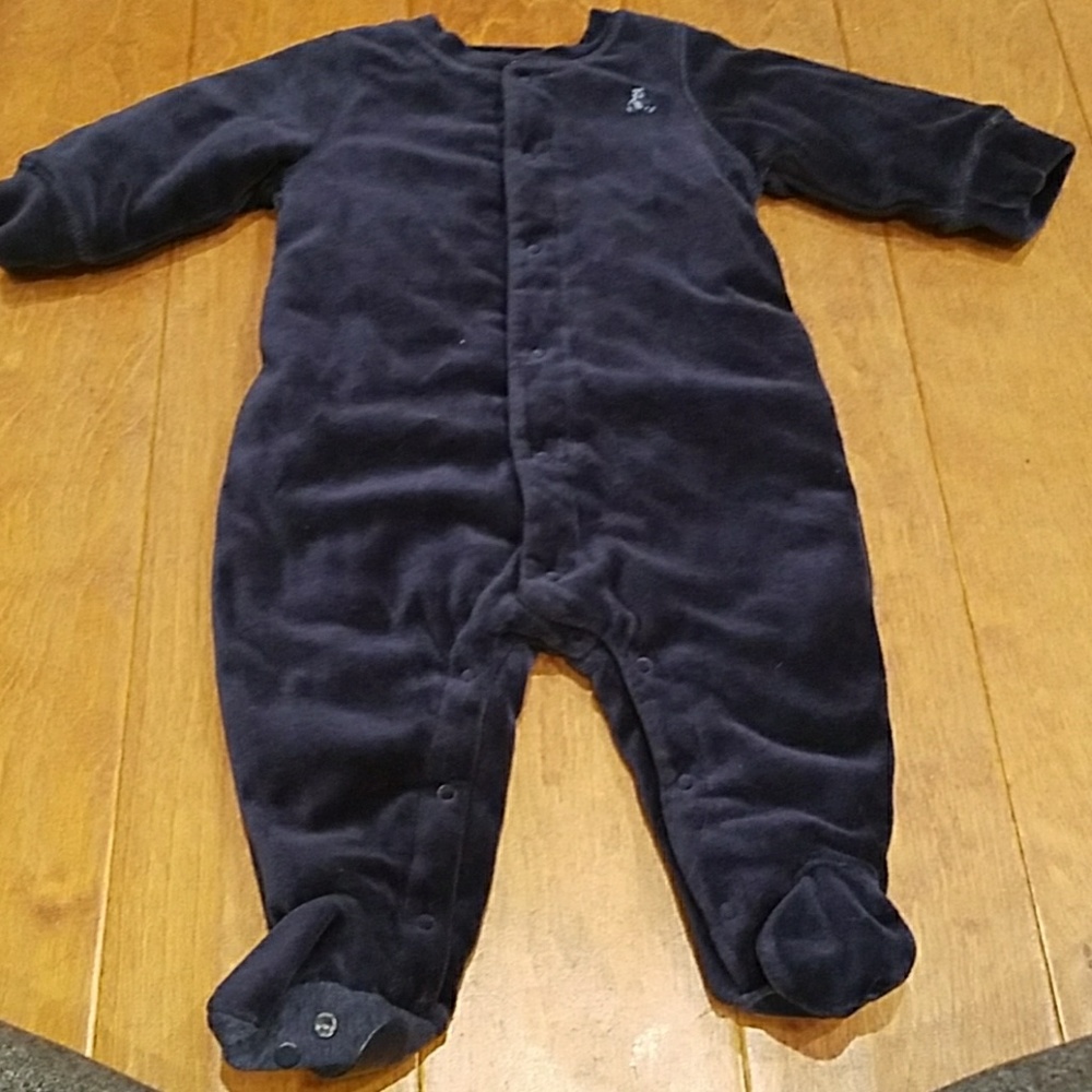 Blue winter sleeper
