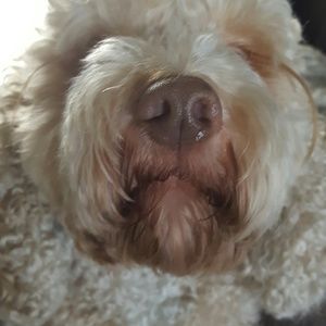 Meet your Posher, Marisa