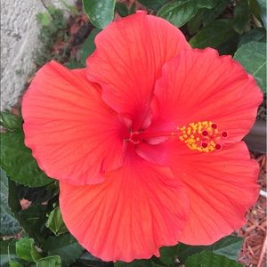 Meet your Posher, Maranda