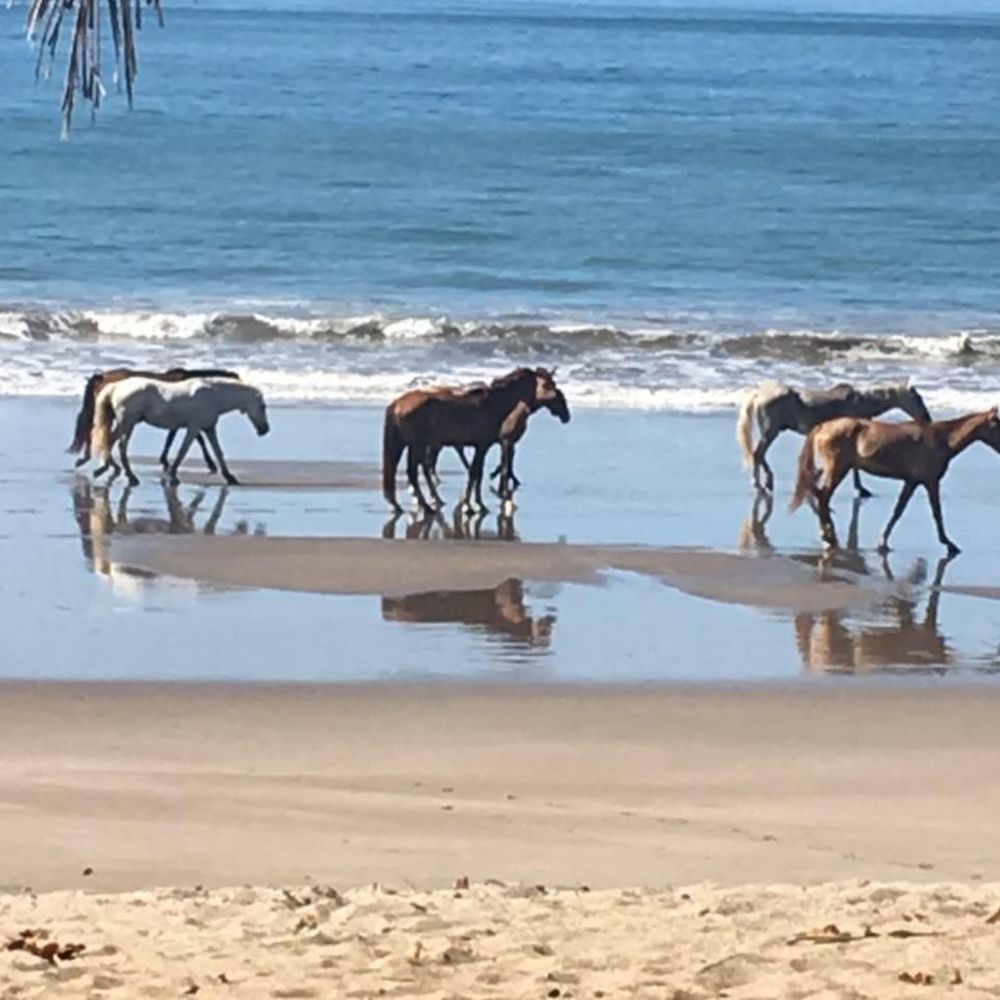 Meet your Posher, Marla