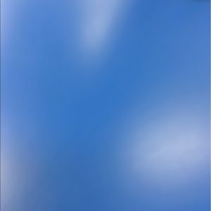 Meet your Posher, Reyna