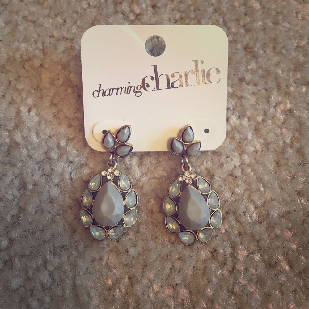 Gray & Iridescent Stone Earrings