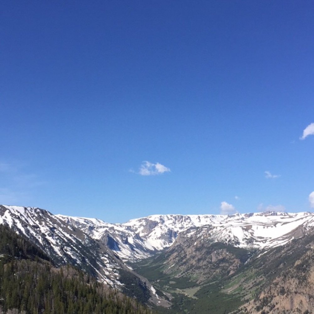 Meet your Posher, Julie