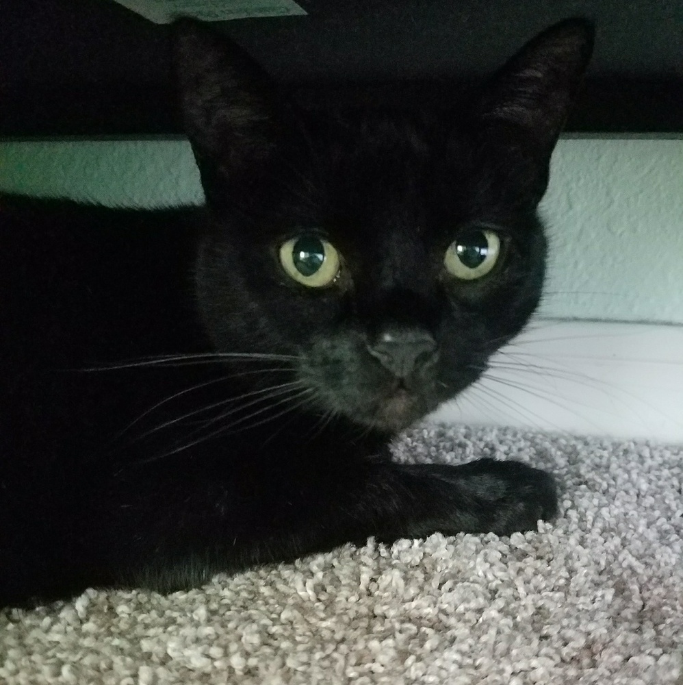 Meet your Posher, Ruth