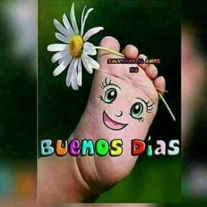 Meet your Posher, Dina