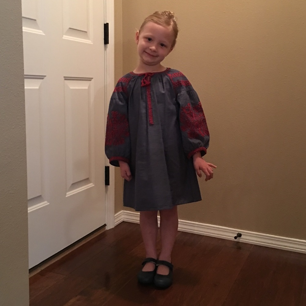 Zara Dress-chambray with embroidery