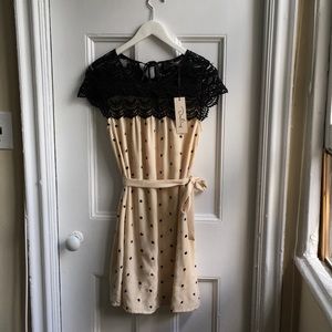 Black and Cream Polka Dot Dress