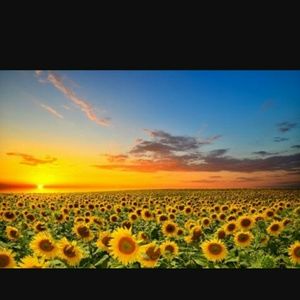 Meet your Posher, Kisha