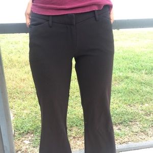 Black dressy pants