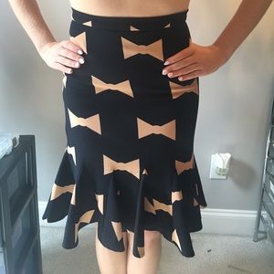 Anthropologie Pencil Skirt