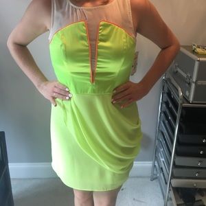 Gianni Bini Dress
