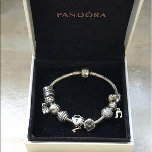 Pandora bracelet pendants, charms, and clips.
