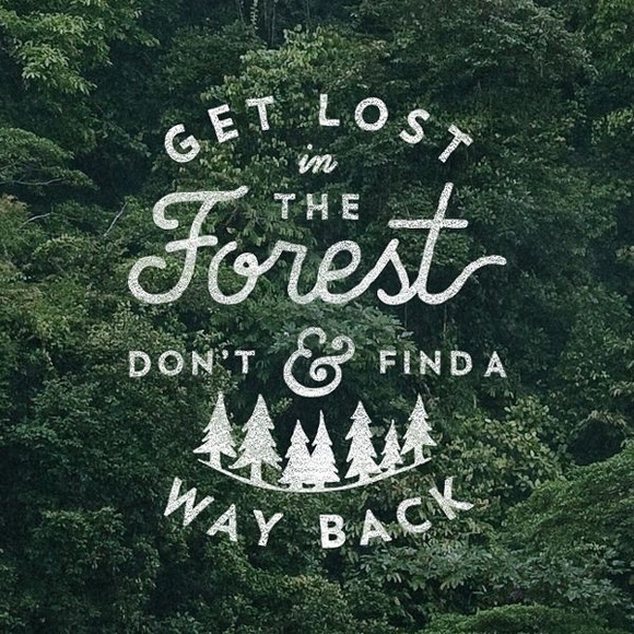 Meet your Posher, Katara - Picture 1 of 1