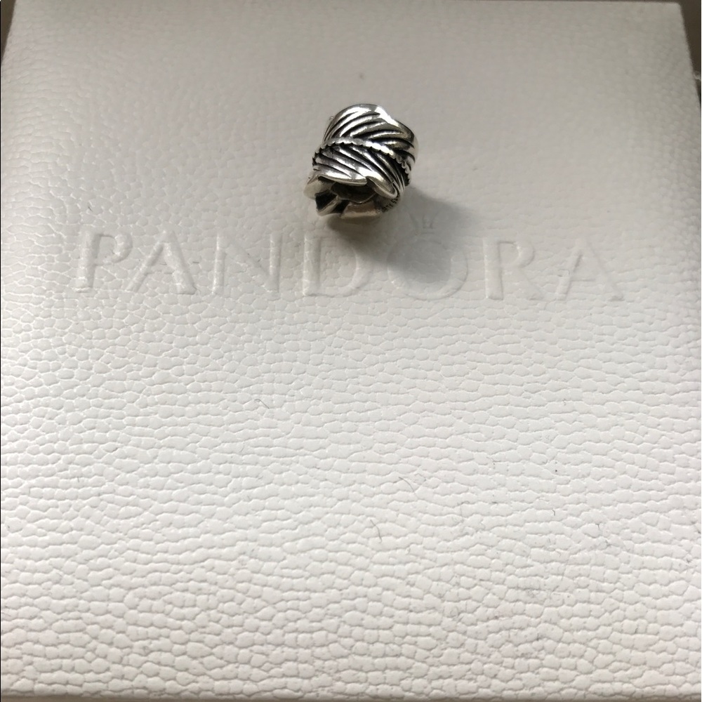 Pandora charm