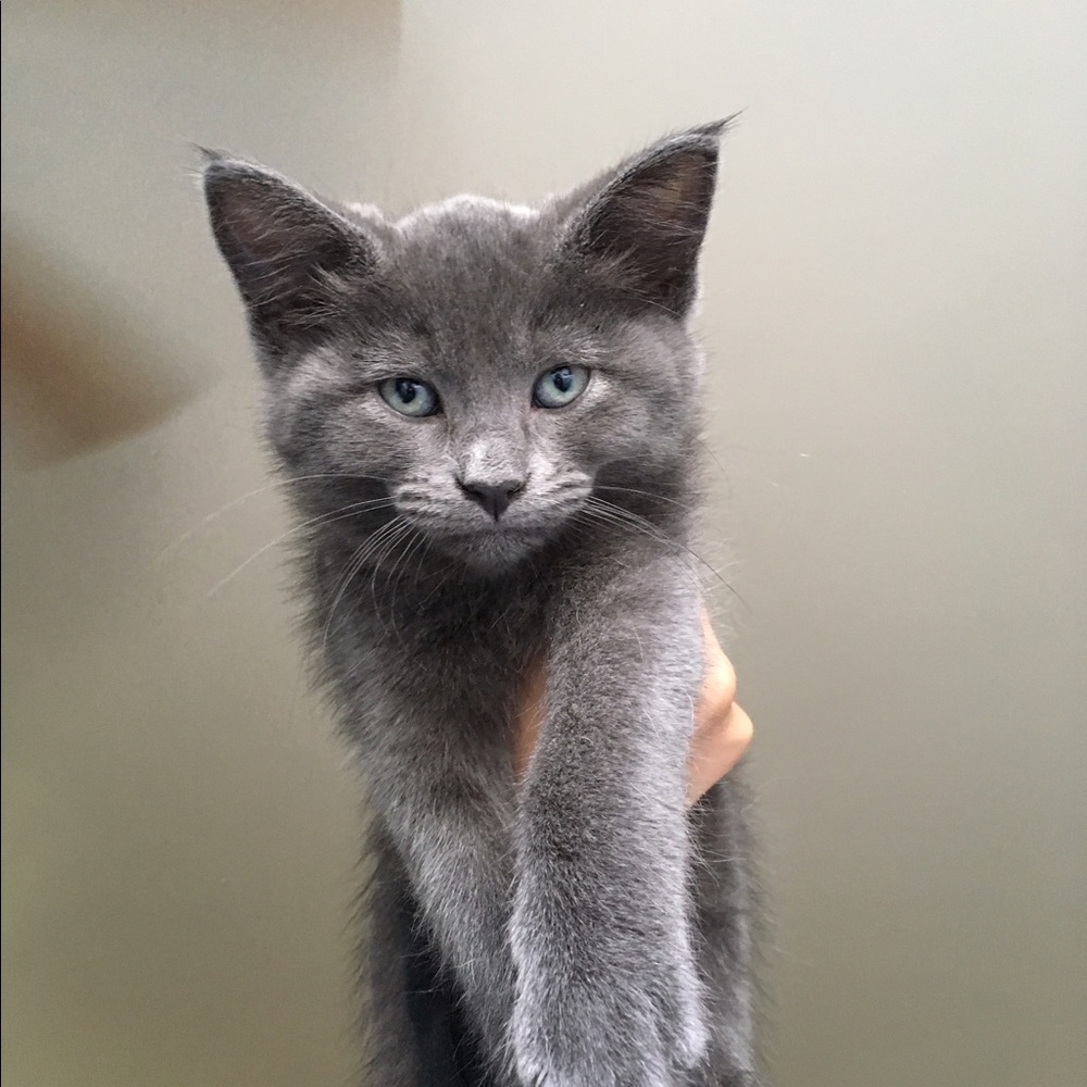 Meet your Posher, Kimberly