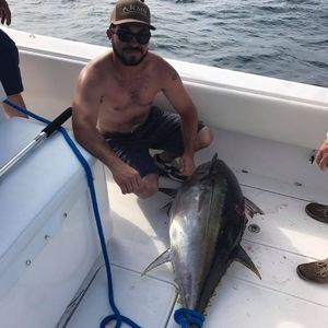 Meet your Posher, Evan