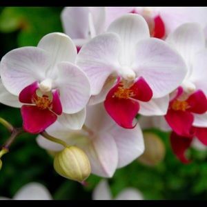 Meet your Posher, Marisel