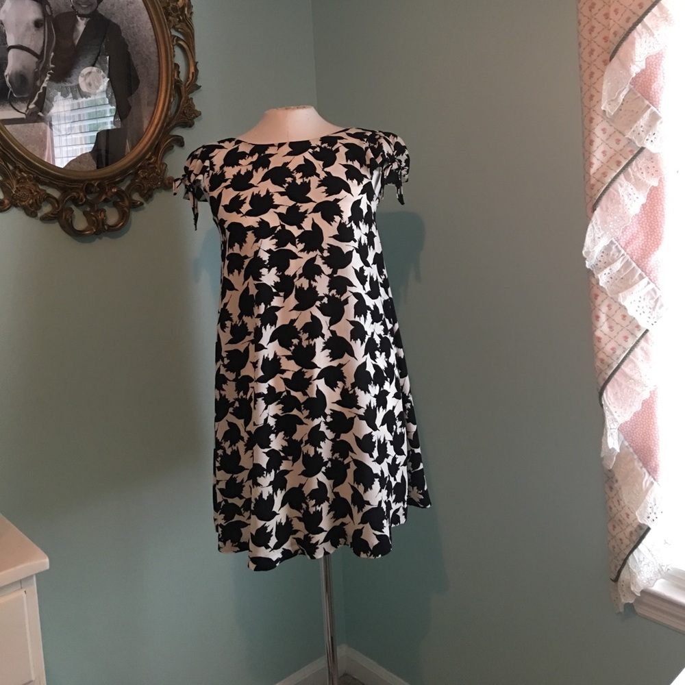 Zara Dress