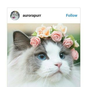 Meet your Posher, Gabriela