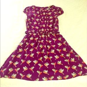Size 8 Asos bird print belted dress
