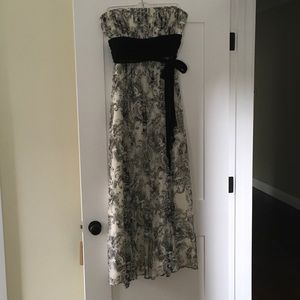 BCBG Silk Toile Gown