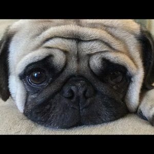 Meet your Posher, Triston