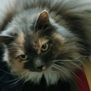 Meet your Posher, Melanie