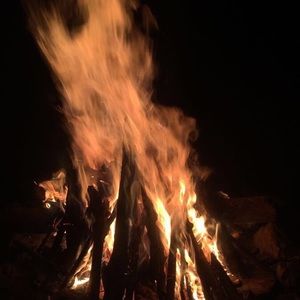 Meet your Posher, Maisie