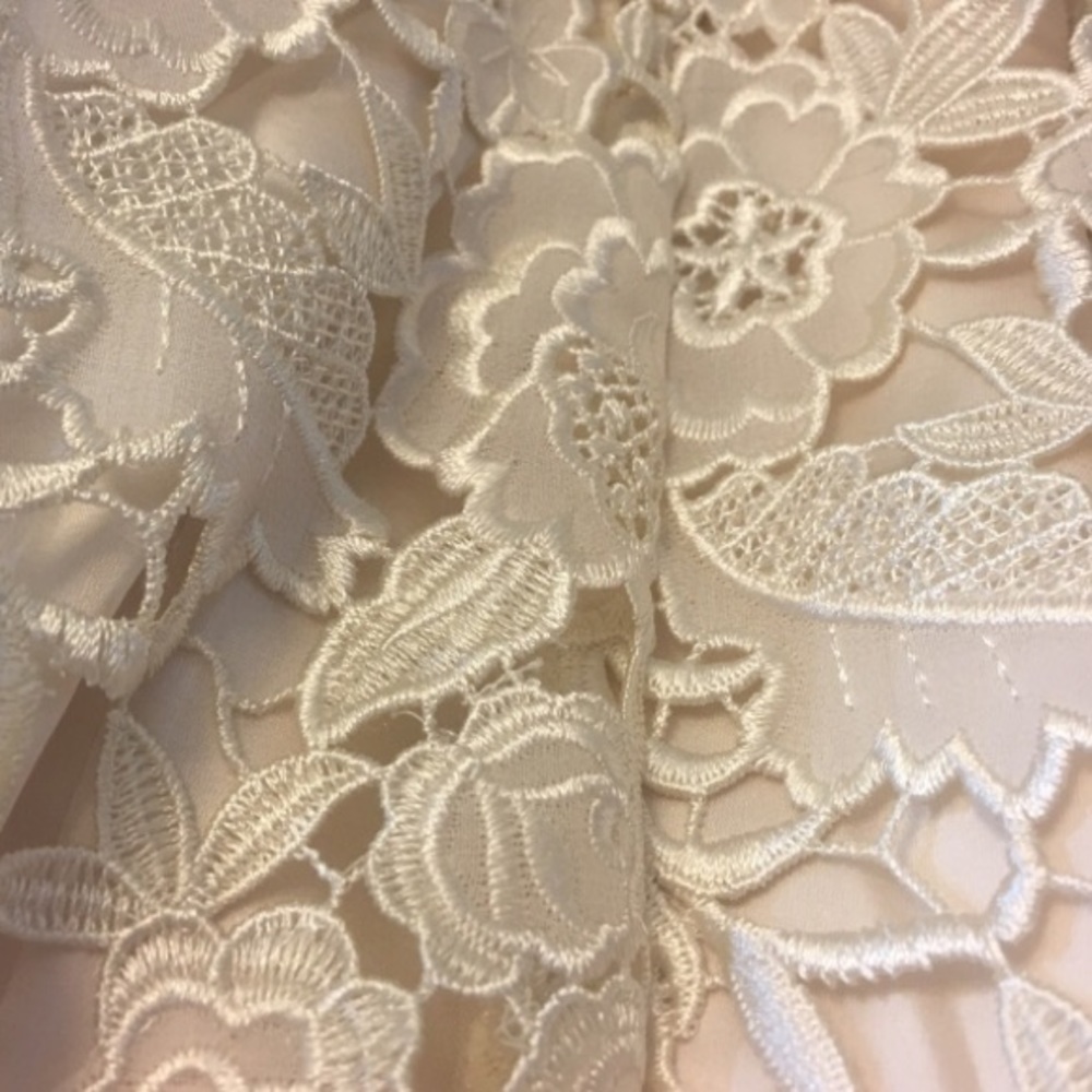 Stunning BHLDN Halo Dress! - Picture 3 of 5