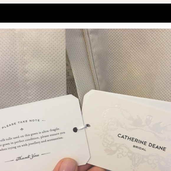 Stunning BHLDN Halo Dress! - Picture 4 of 5