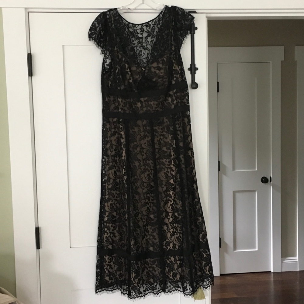 LOFT Lace dress