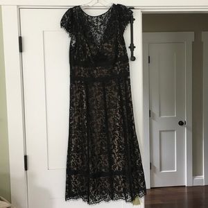 LOFT Lace dress