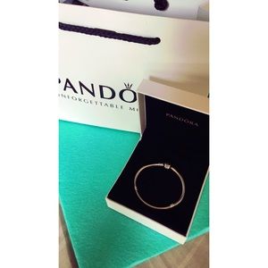 Pandora Iconic Sliver bracelet