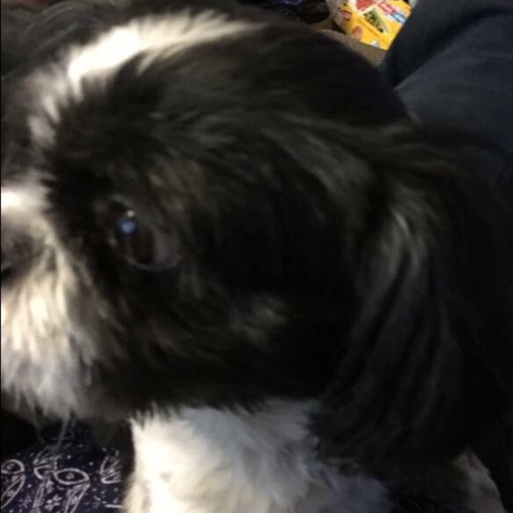 Meet your Posher, Pam