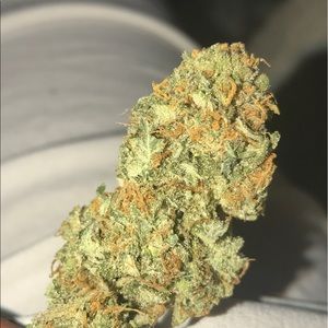 Meet your Posher, Seth