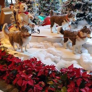 Meet your Posher, J renee