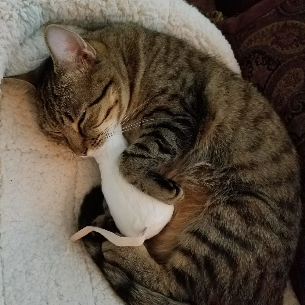 Meet your Posher, Margaret