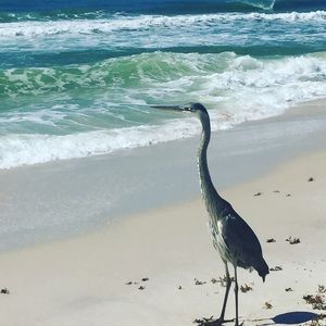 Meet your Posher, Kay kay