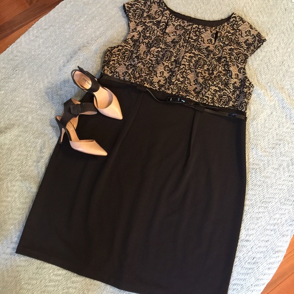 Connected Woman Dresses & Skirts - Connected Woman Illusion Lace Top Belted Dress 24W