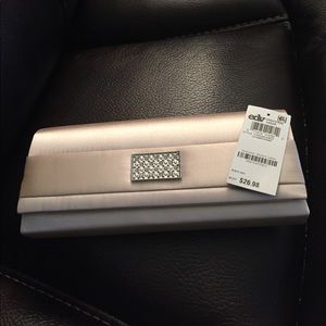 Champagne Clutch/Bag