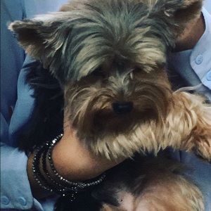 Meet your Posher, Nuria