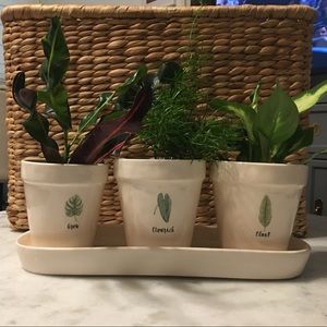 Grow, Plant, Flourish pots and tray: Rae Dunn