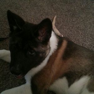 Meet your Posher, Deborah