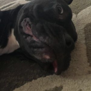 Meet your Posher, Ridger