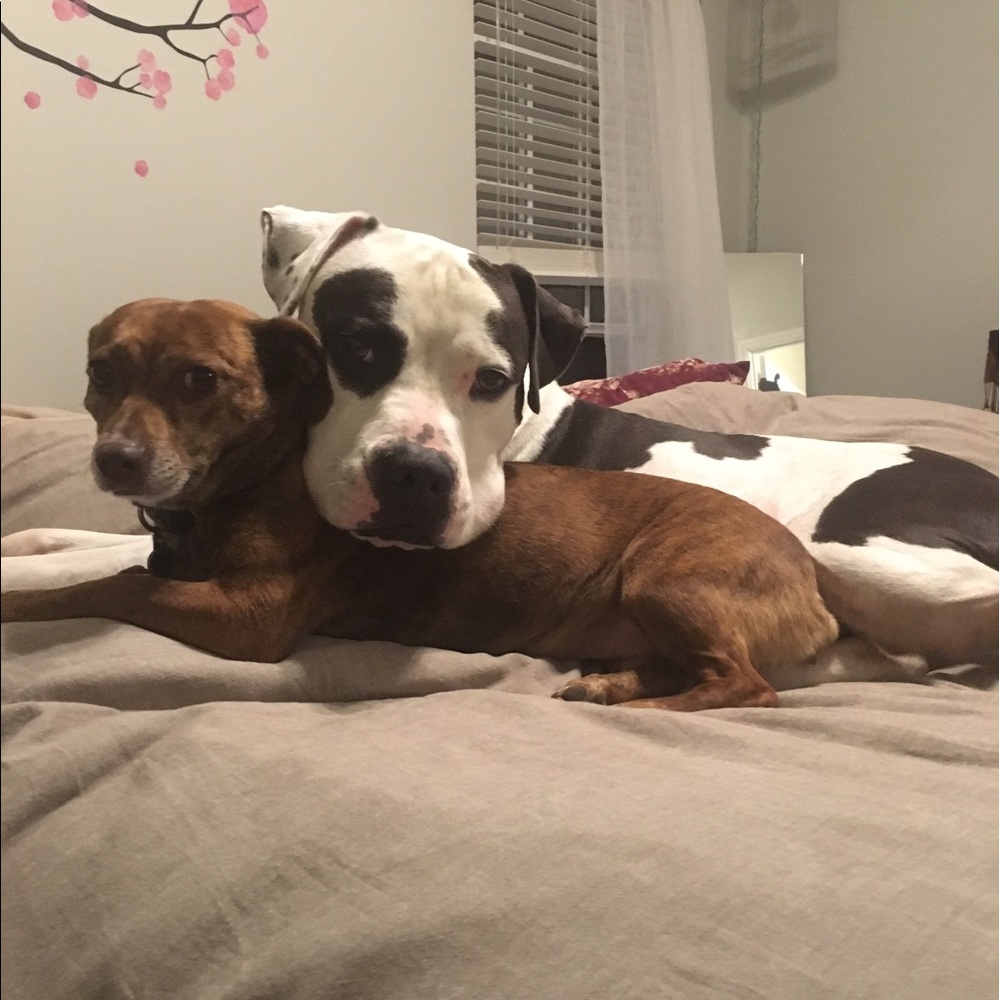 Meet your Posher, Andrea