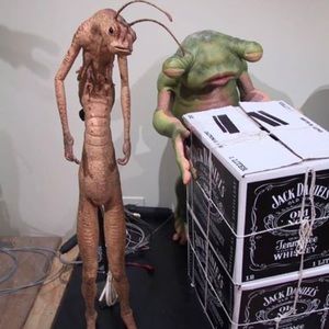 Meet your Posher, Nina